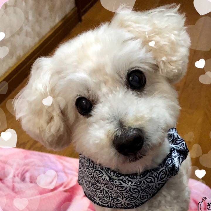 B20f2b52 e28d 4ce2 bc71 9ecda32ceb49 1526212538182