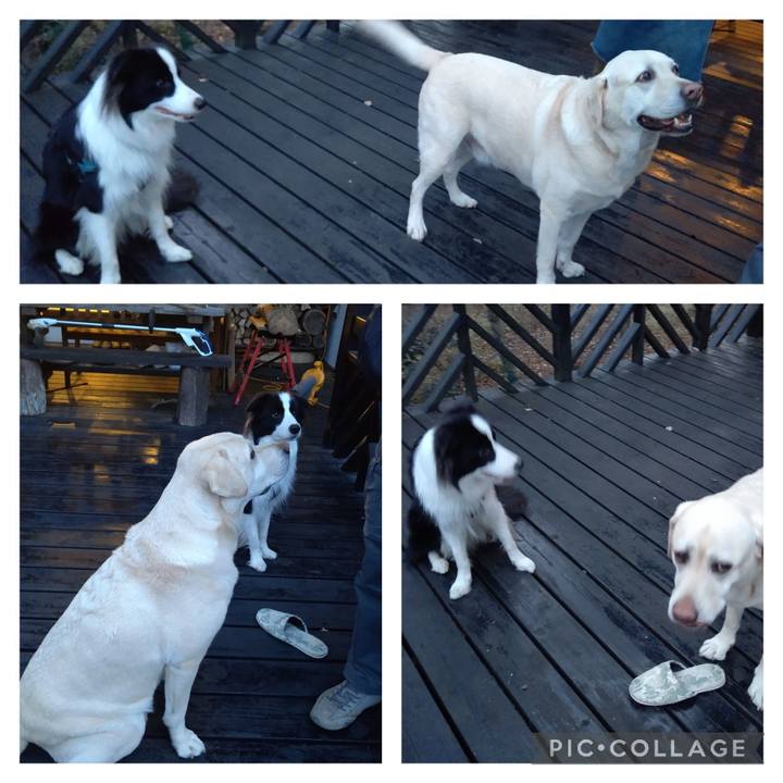 B20f3613 026d 4369 9e47 2d17d238f1d1 1699098517179