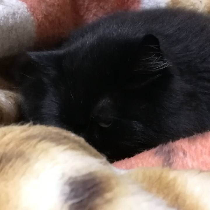 B20f63aa ae46 4f1e a3d8 f7874d5219fd 1546956344003