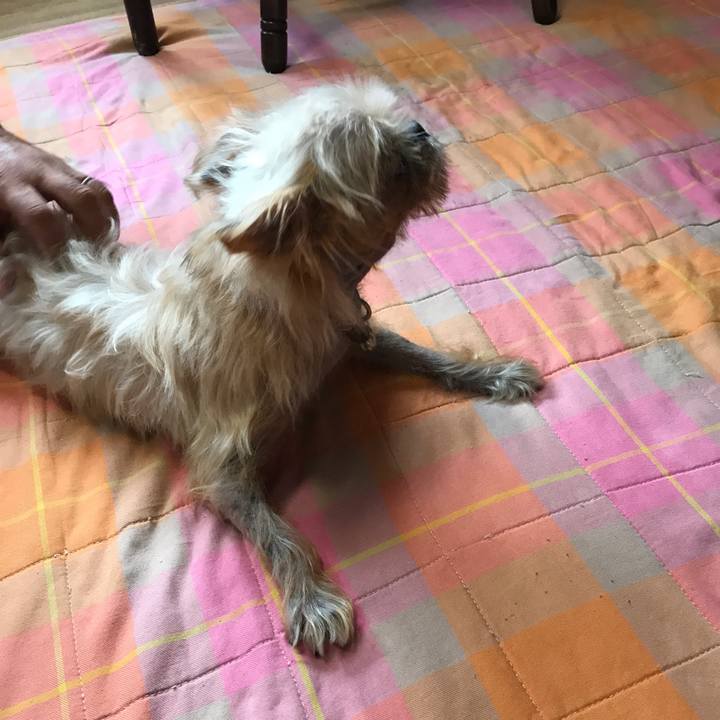 B20f9595 44b6 4ef8 ae81 91f728e7c592 1543042669406