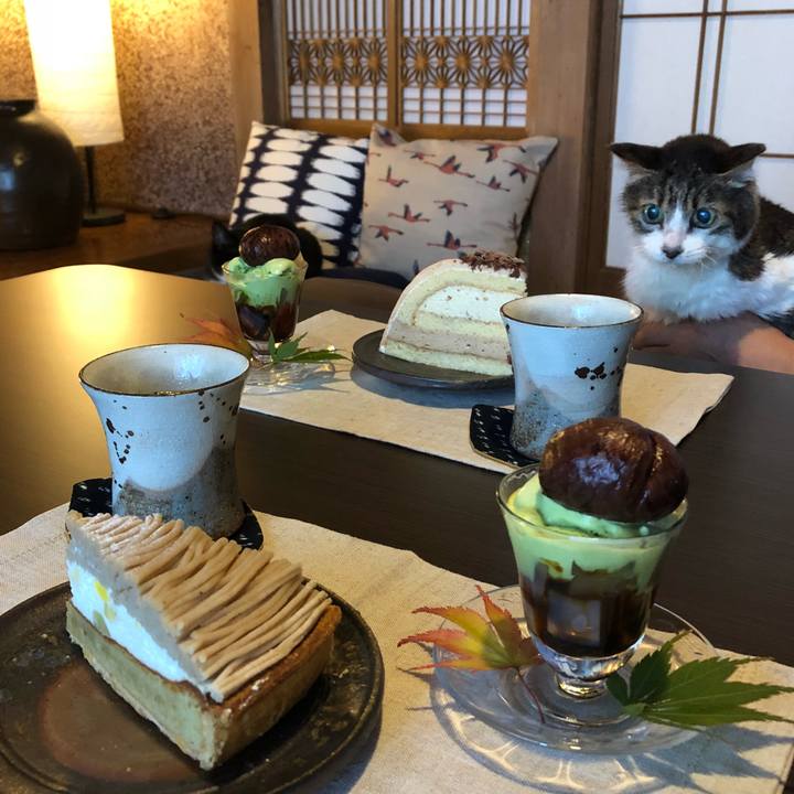 B20fa6e4 f6b2 43b6 ac14 ff42a56983a4 1538978424518