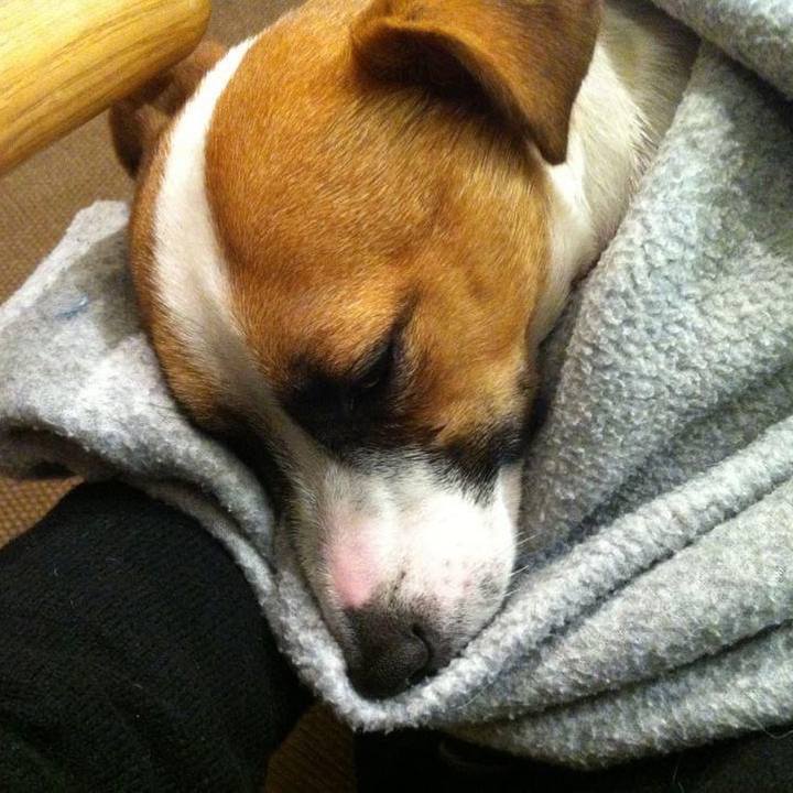 B20fa9f2 208d 4b2a a772 cf8795a25d91 1702120932222