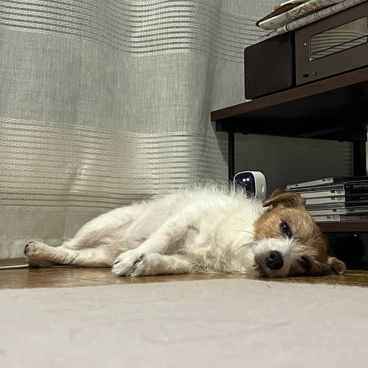 B20fd8a7 4f2f 408a baa9 2ebdddbfa887 1718654017483