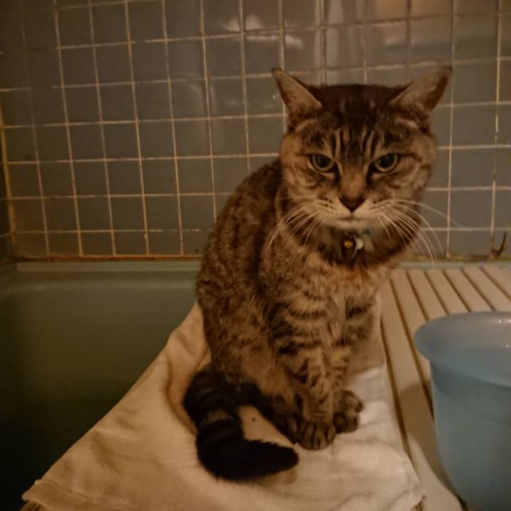 B20ff245 c3ca 4fe8 a676 1a0584eaf0a5 1574672587190