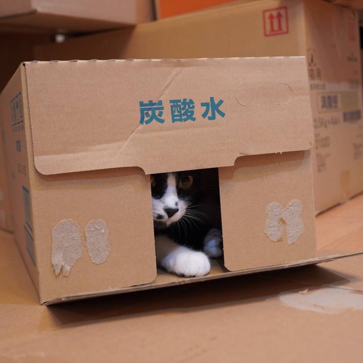 B20ffc3f e0d8 4ed5 a6b5 a509cc1b2b4f 1592750020935