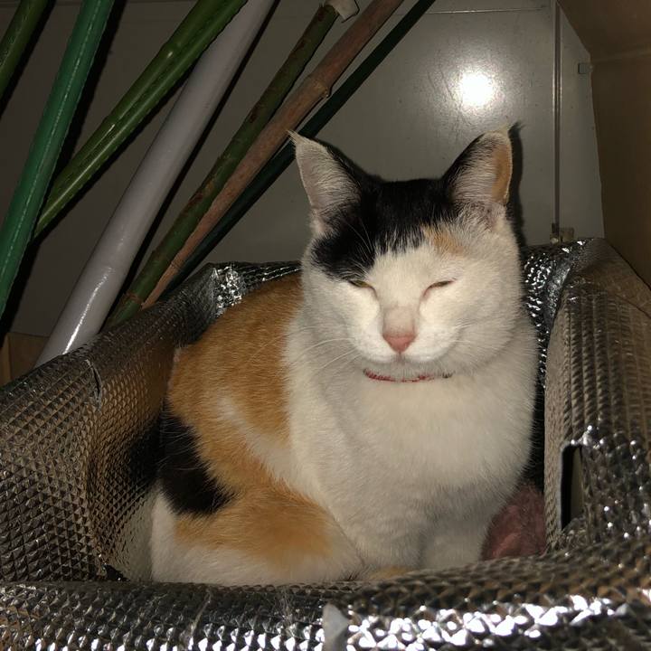 B21003b2 2e50 412c 96c0 d438fe6e5f86 1618312484522