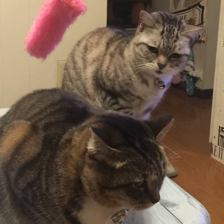 B21053be 0d1f 4a46 b366 62f099c573b3 1547556599491