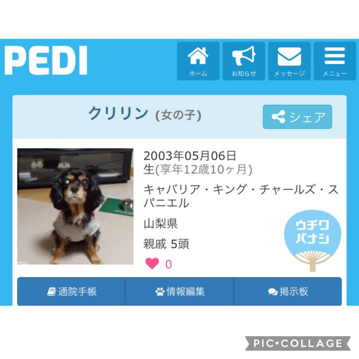 B2106392 2620 4c95 a8bc f4dd14c447c5 1615099891510