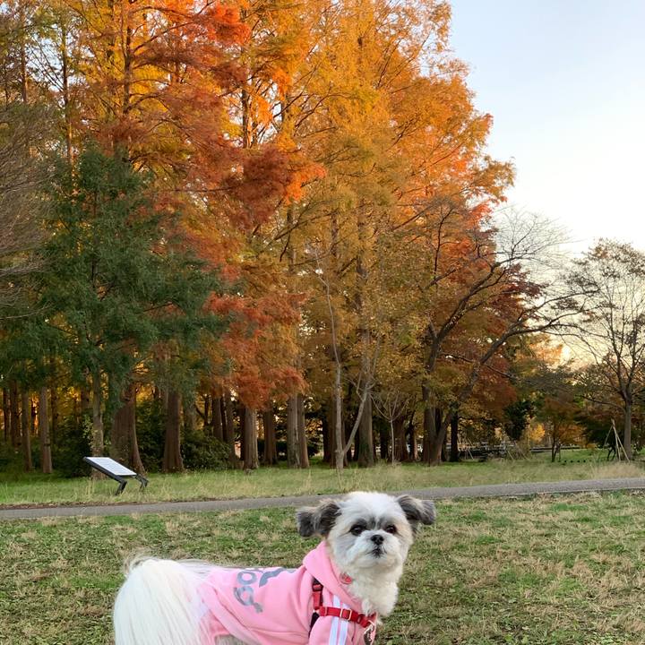 B2106cdf ec6f 48e5 9537 c2a2813f70a3 1575125228904