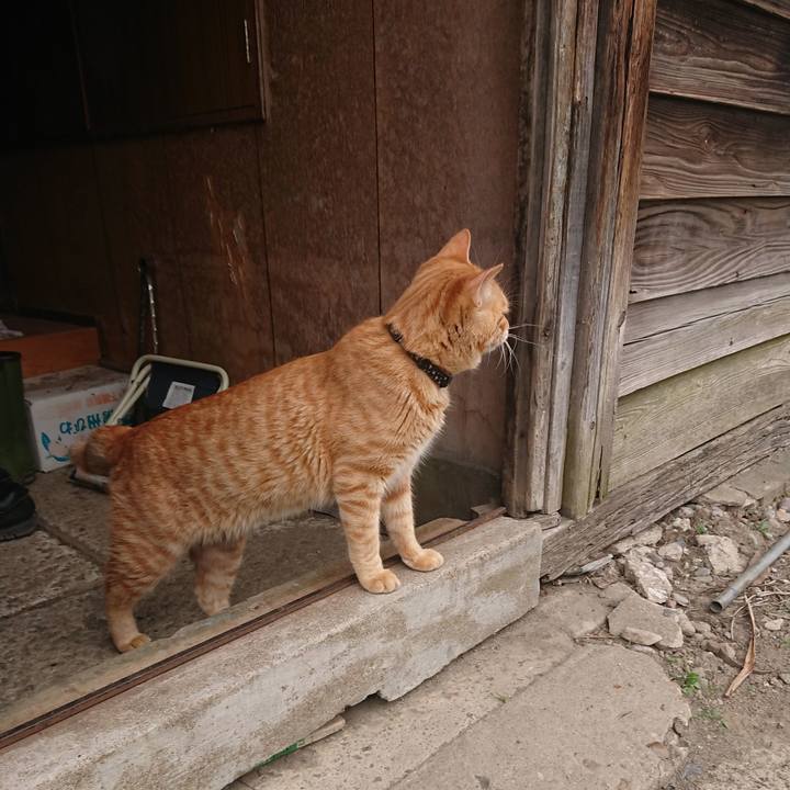 B2106f69 1a0d 4f16 b54d 12e84ebcbfcb 1650804858172