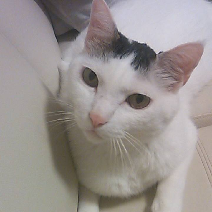 B210876c 4899 41c2 b6d5 cf3949a12893 1774959033328