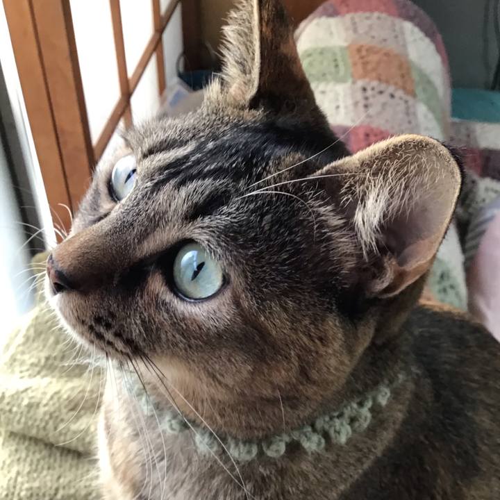 B210ad85 0903 4b1c 9ea8 2f73bbe490cf 1641080926536