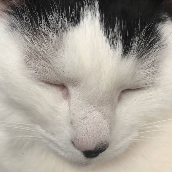 B210cc4f 1fbd 4e77 9c0f a8d81682f77c 1549680518737