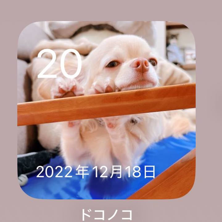 B2114a5f d669 498e 8eb8 99f3d3592112 1766407031765