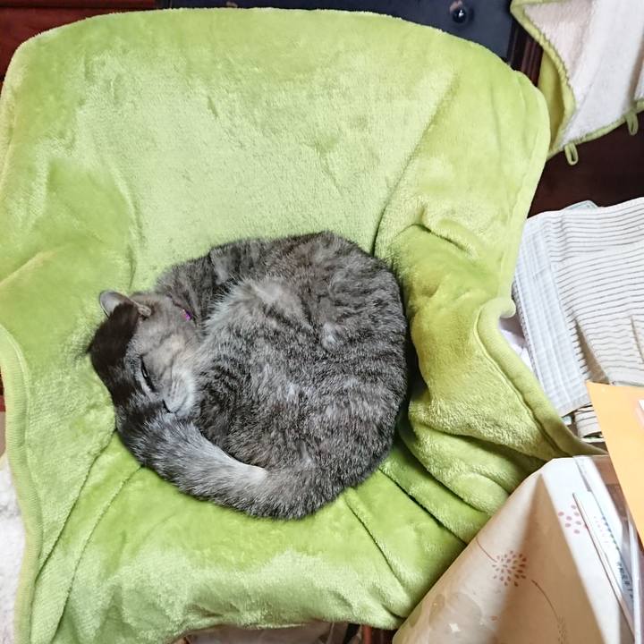 B21151b0 e795 4138 be33 123d9d4a0fb4 1587788851480