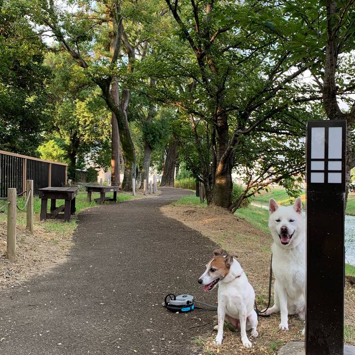 B21153c8 e361 4f31 9150 e8dc72fc07e4 1565473753880