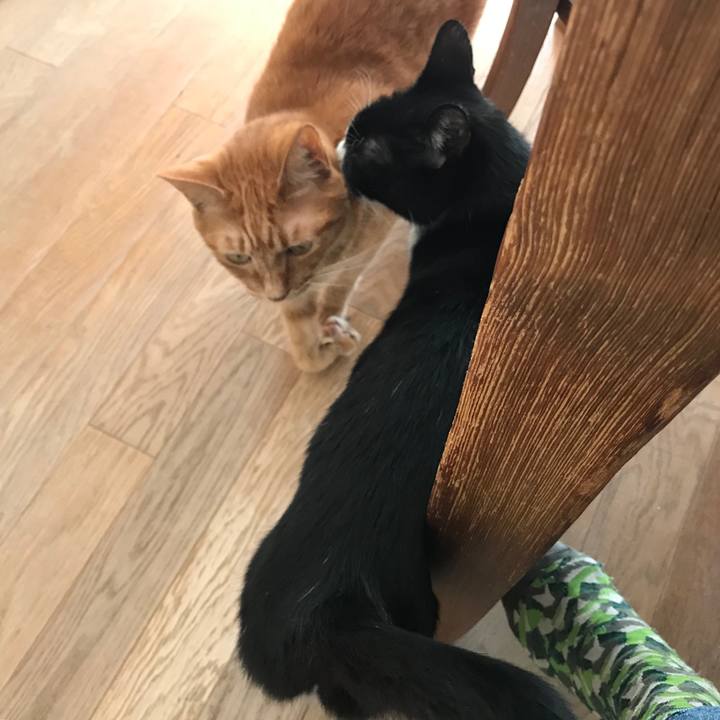 B211561f 7570 47db 8d6b 9be146a07a4a 1540974507235