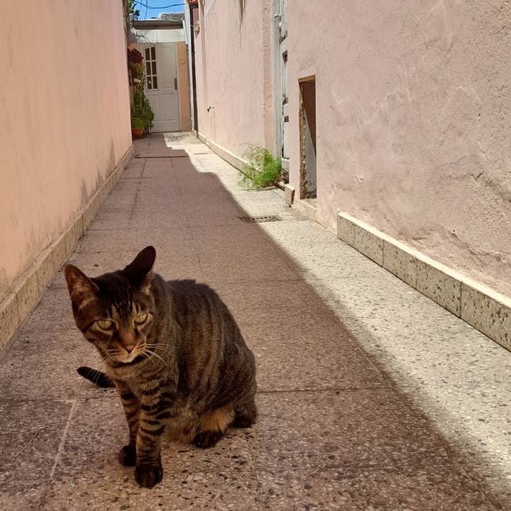 B211986e c1d0 46d5 acd4 d8770fd0d8b1 1764986040886