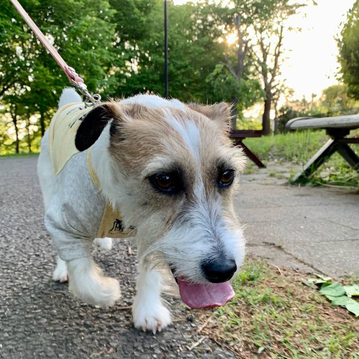 B212203f 7ff8 480c afa5 ad93f167f935 1682598691457