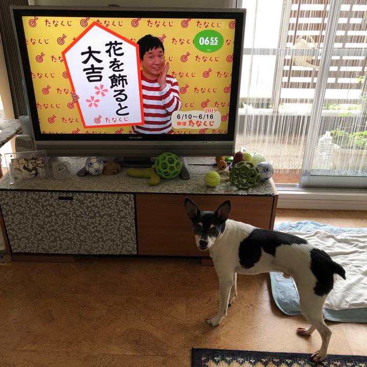 B212204c 5647 4482 8fb7 6bcfdbb4517e 1560202117490