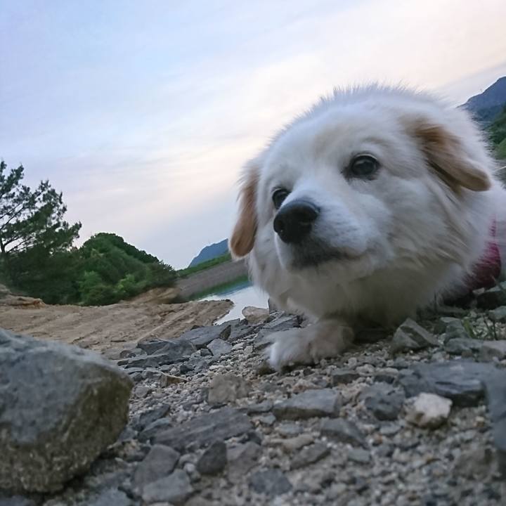 B2122cbc 0b27 4f68 b6c7 76c99b307b05 1557307896778