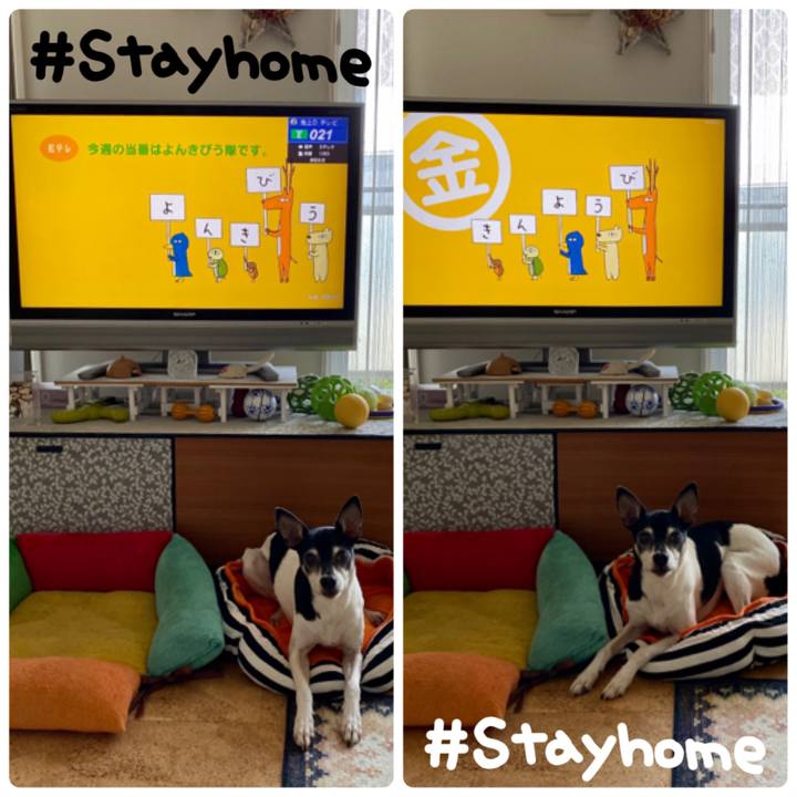 B21234d8 6ed6 445e 93bd 0701109ff4b5 1587679136060