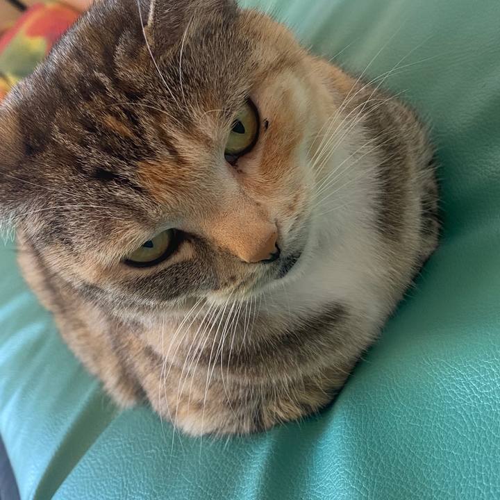 B21278ab b4c0 4dc0 9464 dc64950a9cdc 1587269209366