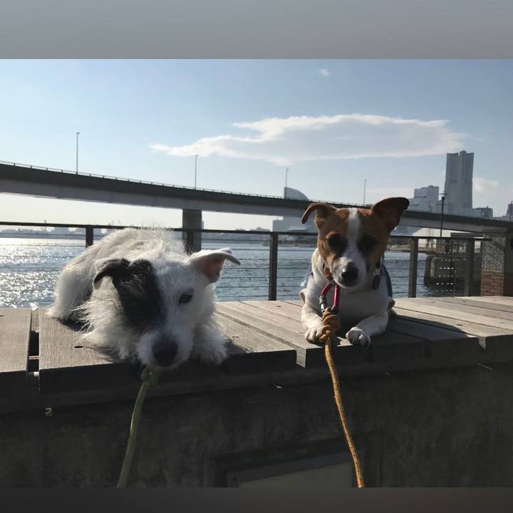 B212793c b636 4273 b0a1 2e55b24a0481 1675162779571