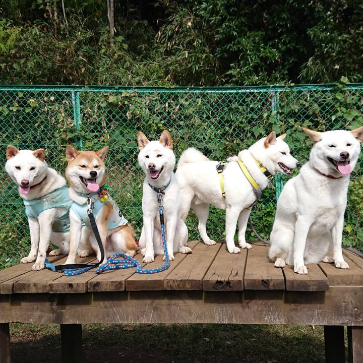 B2127ac4 ed65 4134 b5fa cb3c44411ca8 1540643434798