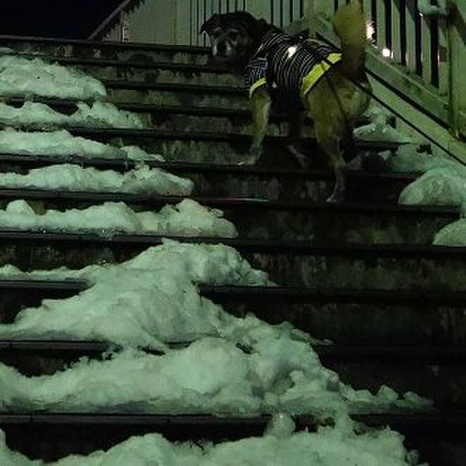 B212a09d 65c7 4802 9b00 4be9623cf493 1517146093060