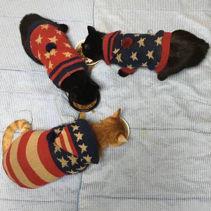 B212a3a5 8ff8 41b1 acdd a409e5242b9a 1539945689212