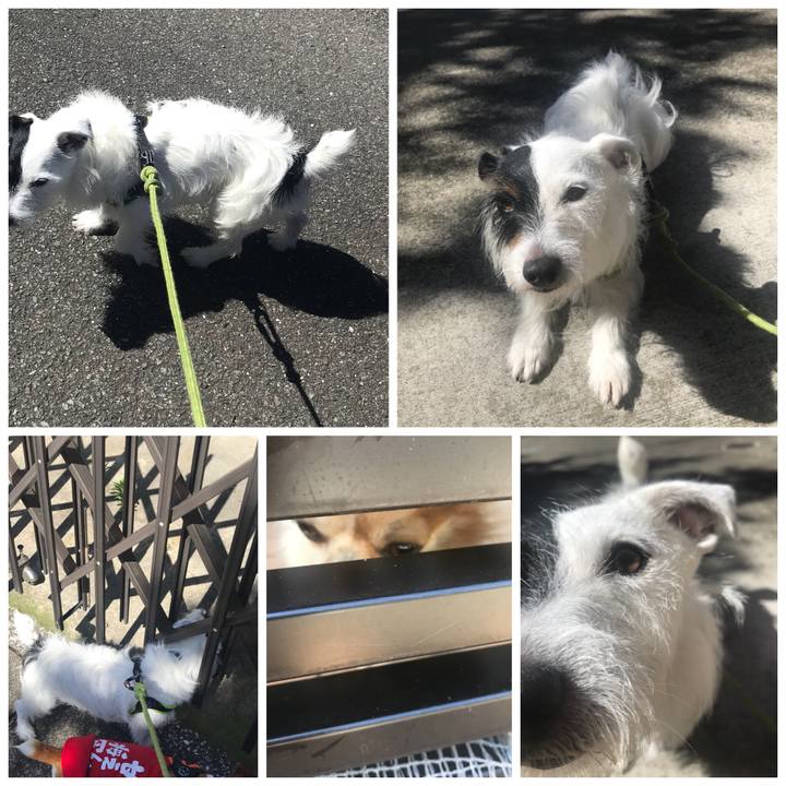 B212d1f4 17d1 4256 8998 0dd6b36f9233 1530231354965