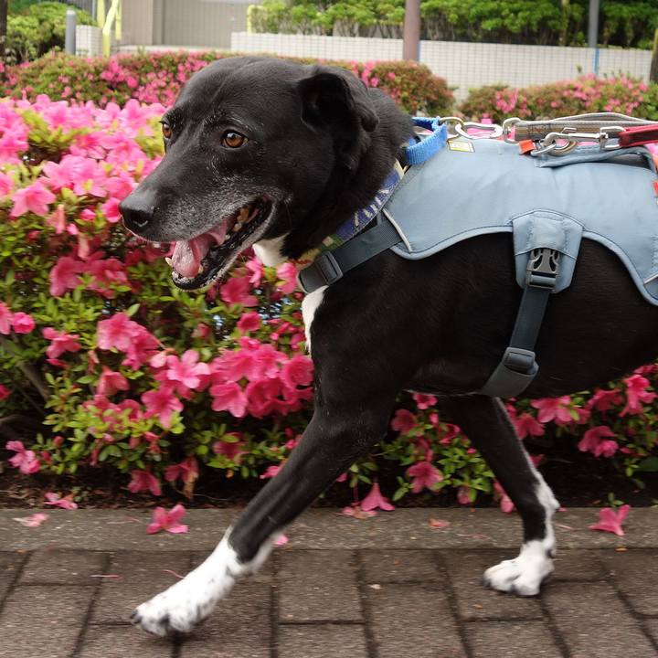 B212dcd4 98d1 4f58 8ad0 05e91335b161 1715650468392