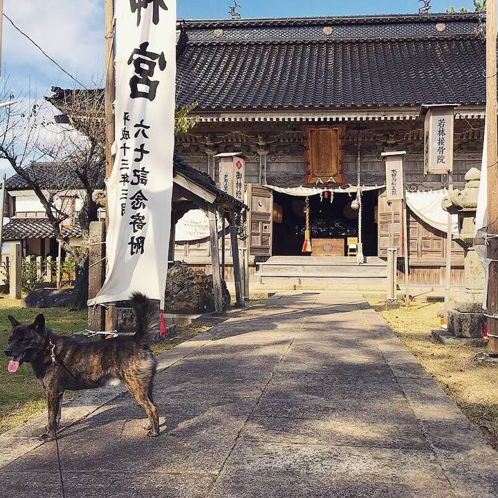 B212fc08 6670 403b 83e8 63325b1e7561 1539669332118