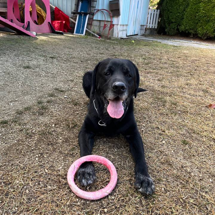 B21309a8 2e02 4195 b63b 93f8c0eaee2a 1764504116761