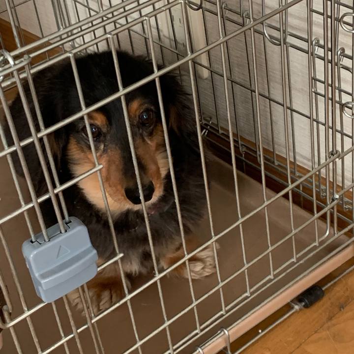 B2130b45 274a 4e16 bb95 049d57b00337 1557265208738