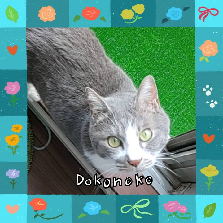 B2133104 29df 4b96 bcd6 e223b60f7799 1715149527979