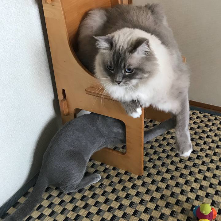 B21348de 781a 41da 86ba e79e233262f8 1508205594835