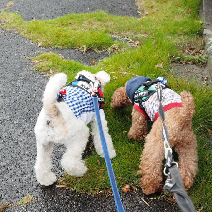 B2134df6 d793 41ab 9a37 d0e79e4fb144 1539999751909