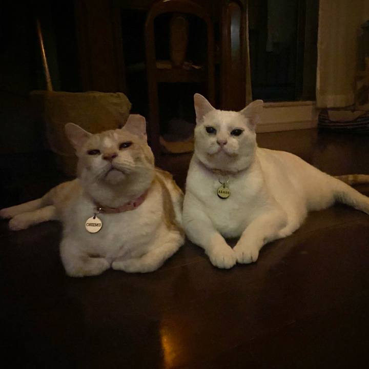 B2134e66 dc85 4324 ba73 a5511d62966e 1750433417801