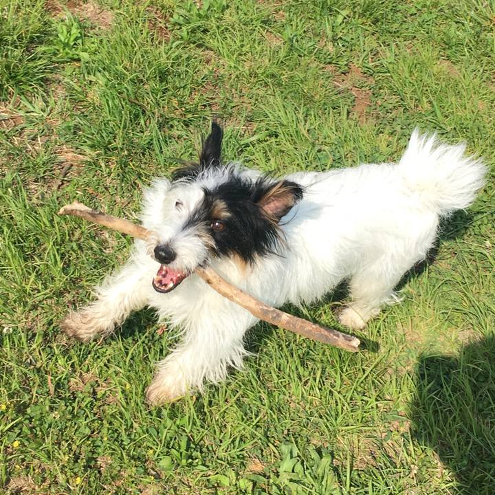 B2136c83 eb58 40f8 88a3 ded4b3212256 1526595976505