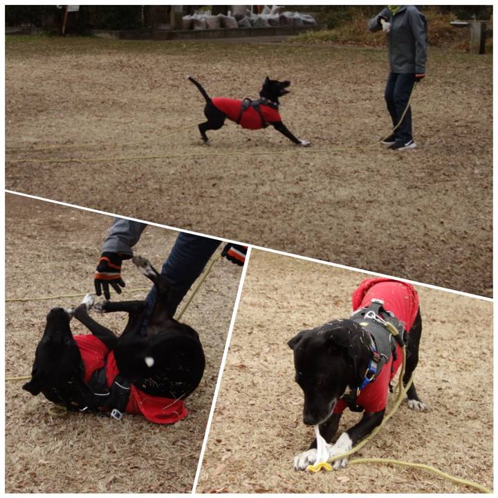 B2139042 7440 438f 8335 19dc6b451b58 1643937019384