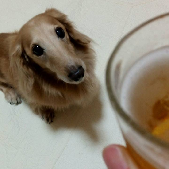 B21396db 9a63 4dea 806f 34fdbab58387 1544270780567