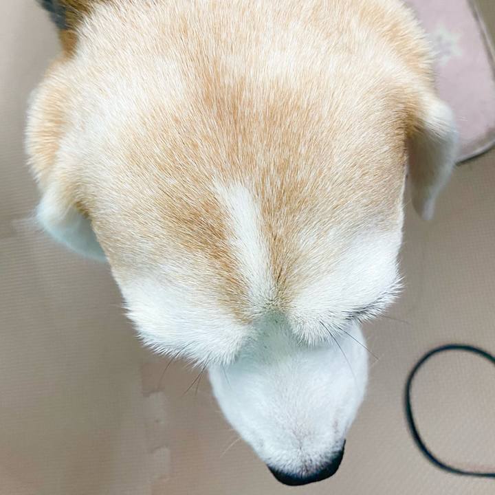 B213e223 aae1 44dd 9f0b 266ba292be35 1660275432259