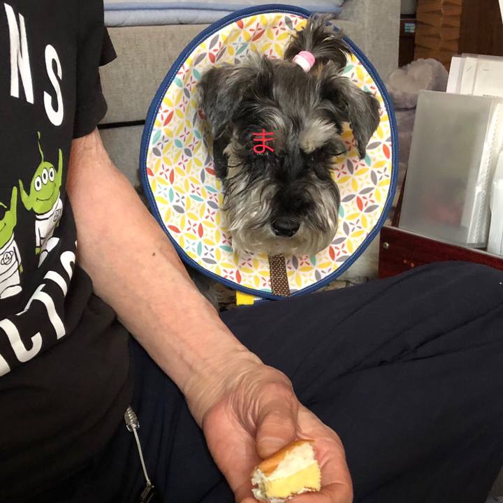 B214005c b34d 4c9a 9bf5 d11ca4940cb9 1685196269960