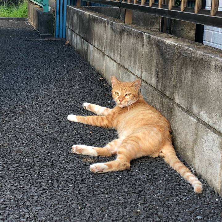 B2140a69 a106 4567 a079 36ac3a4cb23c 1568318837015