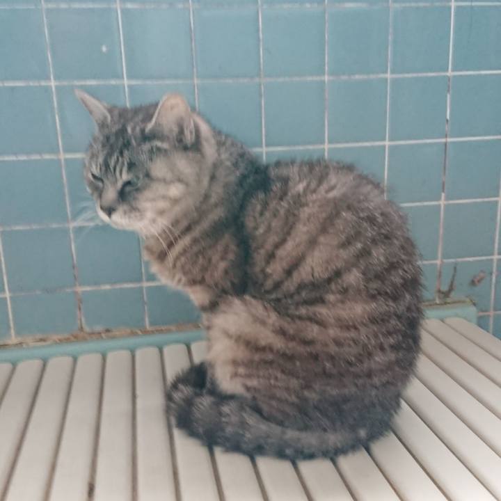 B21427ff b5c0 4490 bde2 1a890acfc586 1569880373589