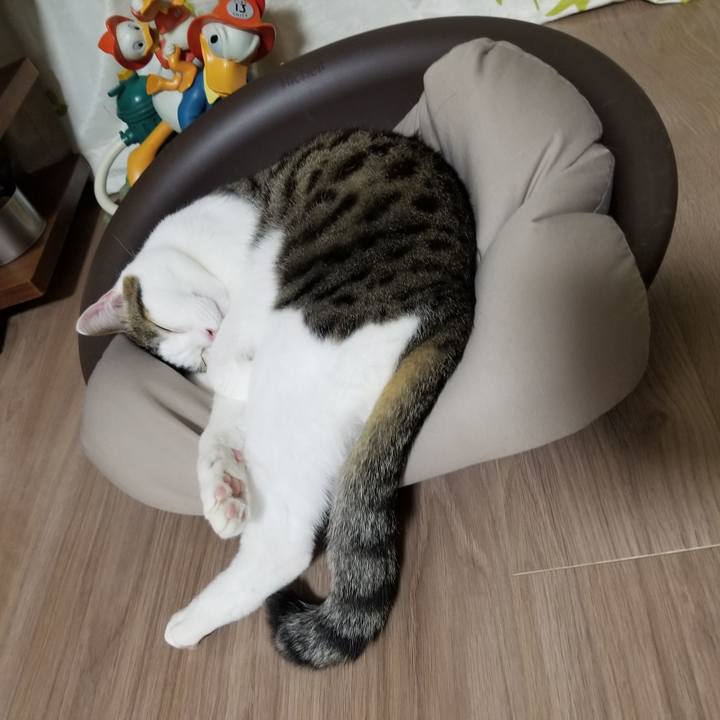 B2146b51 8969 4644 9a0e e9d8852a81fd 1618136995072