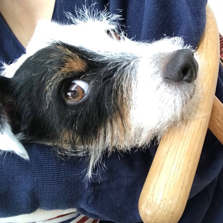 B21470cd cbc9 4ebe 8768 88591e02b1fb 1509423298734