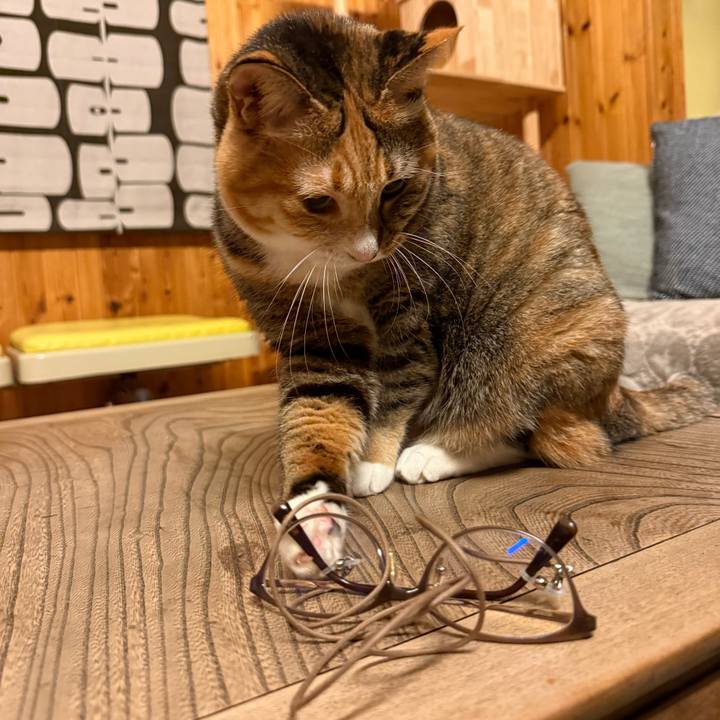 B2147409 5604 4404 a177 78f8749b752f 1765102974195